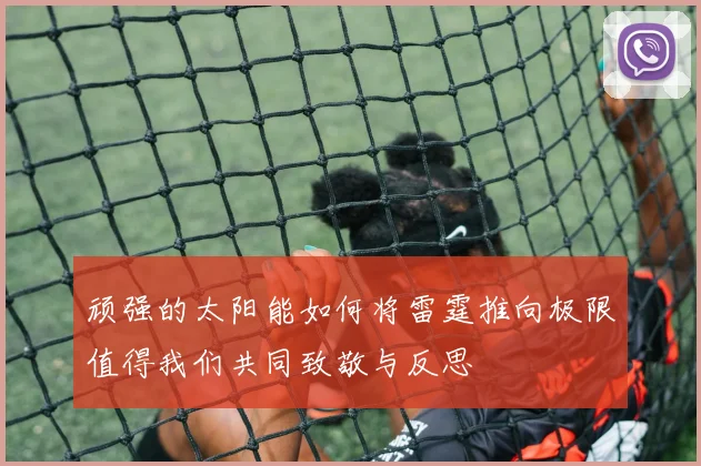 顽强的太阳能如何将雷霆推向极限值得我们共同致敬与反思