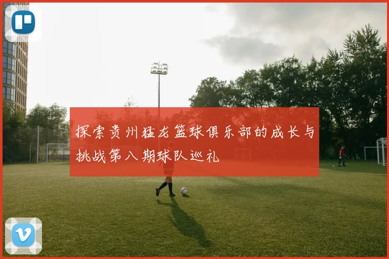 探索贵州猛龙篮球俱乐部的成长与挑战第八期球队巡礼