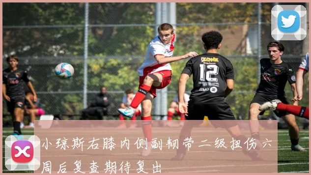 小琼斯右膝内侧副韧带二级扭伤六周后复查期待复出