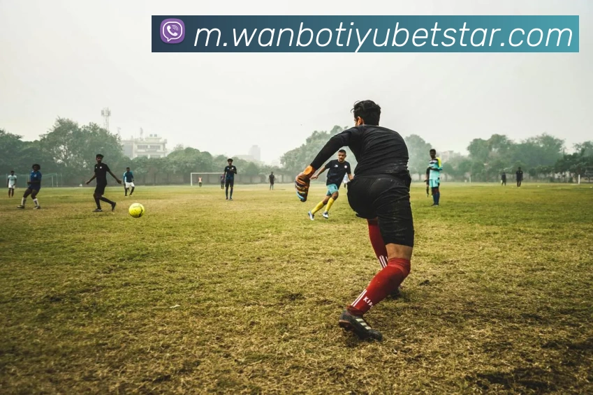 万博体育APP 封面图