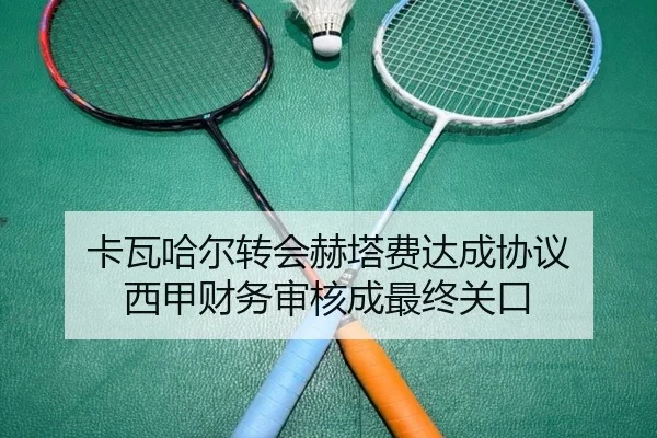 卡瓦哈尔转会赫塔费达成协议 西甲财务审核成最终关口(ManBetX)